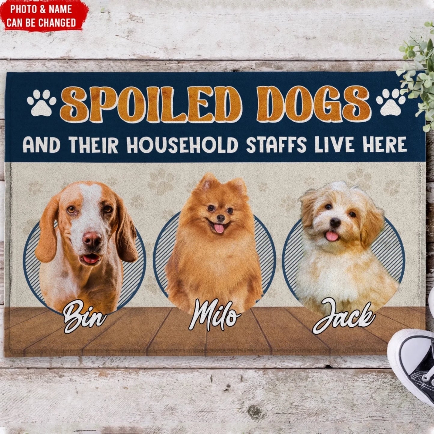 664edf4090850_large