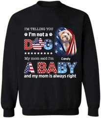6476a934c6248_large