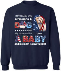 6476a934c6216_large
