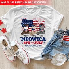 62a96e7165a29_large