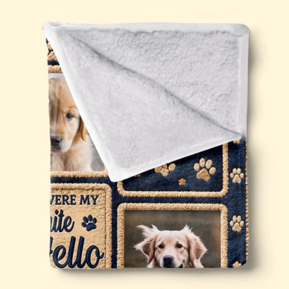260806_BXuEzeBUYRmRZNXx_large