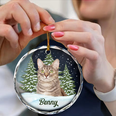 Custom Photo Pet Face - Christmas Gift For Dog Lovers, Cat Lovers, Pet Lovers, Pet Memorial - Personalized Circle Glass Ornament